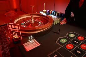 Mentoto: A Bright Start to Your Casino Fun