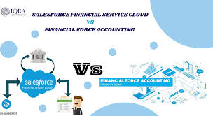 Driving Financial Efficiency with a Salesforce-native Invoicing & Budgeting Solution Driving Financial Efficiency with a Salesforce-native Invoicing & Budgeting Solution