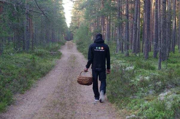 Tips for Developing a Love of Nature 
