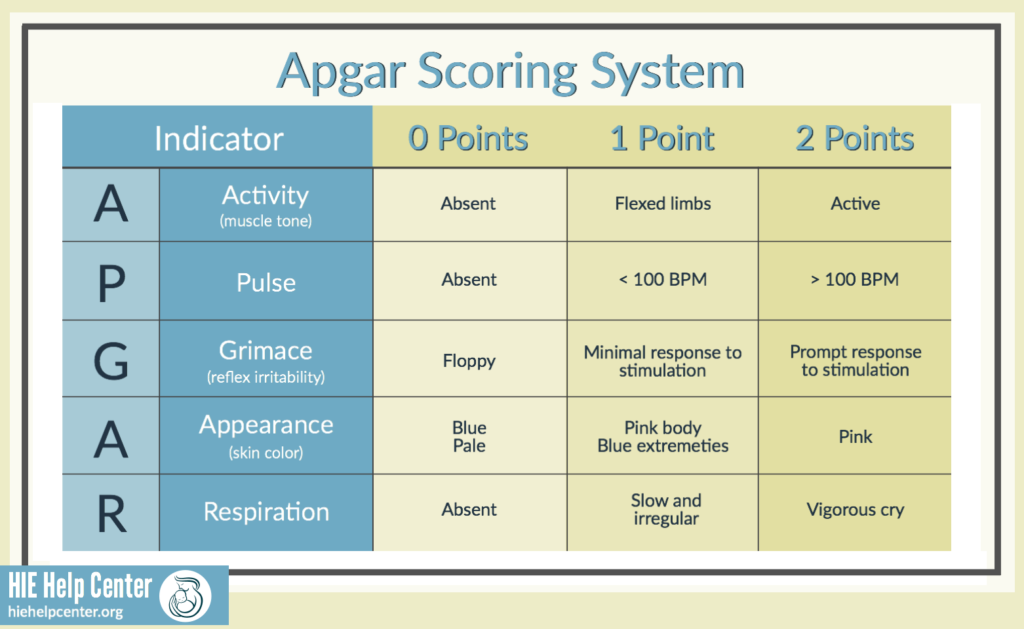 Understanding the Role of the APGAR Score in Newborn Care